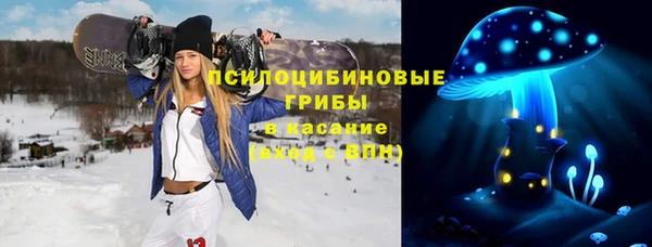 прущий лед Кодинск