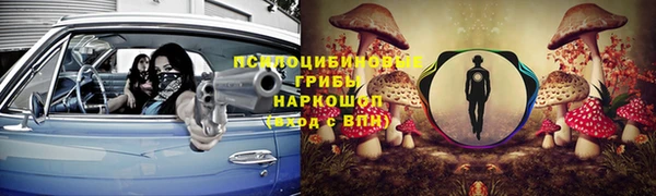 МДПВ Козельск