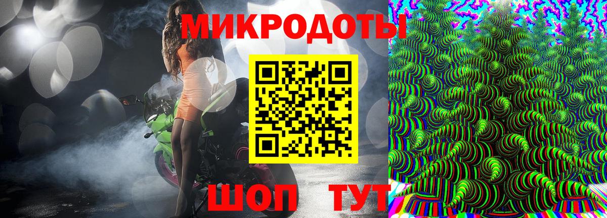 Петровск  Псилоцибиновые грибы Cubensis  Вход с VPN 