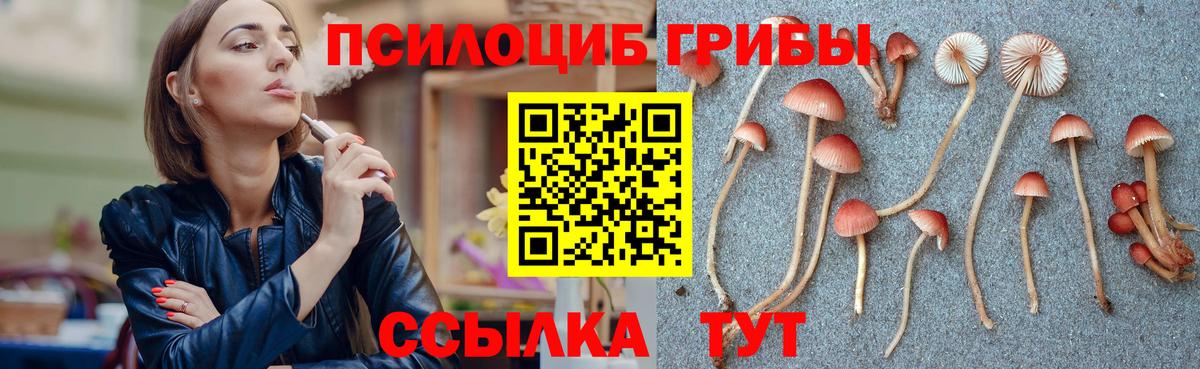 Псилоцибиновые грибы MAGIC MUSHROOMS Петровск